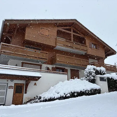 Apartment Cosy Pres Des Pistes Avec Garage, Wifi, Terrasse - - Fr-1-459-234 *